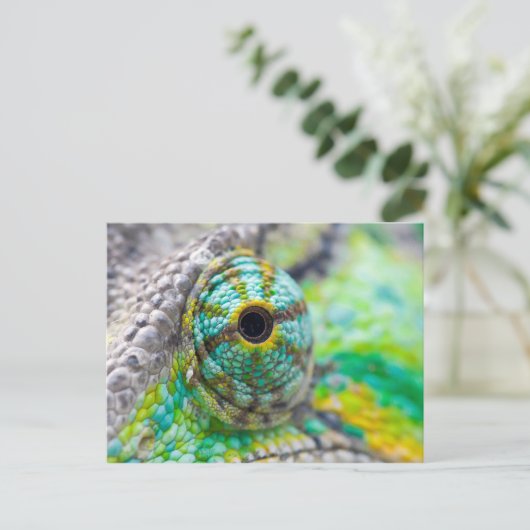 Chameleon eye postkarte (Stehend Vorderseite)