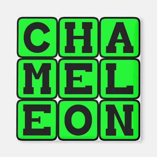 Chameleon, farbverändernde Eidechse Magnet (Vorne)