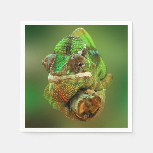 Chameleon Foto Serviette (Vorderseite)