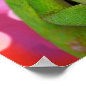 Chameleon Heart (Luv U) Poster (Ecke)