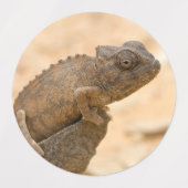 Chameleon in Namibia Etiketten (Design 1)