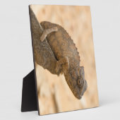 Chameleon in Namibia Fotoplatte (Seite)