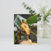 Chameleon kommt voran postkarte (Stehend Vorderseite)