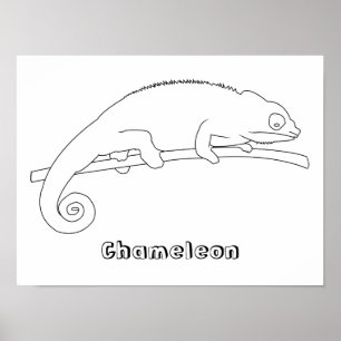 Chameleon-Kontur Zeichne Poster