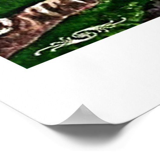 Chameleon Life Poster (Ecke)