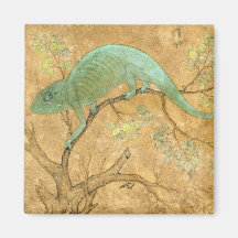 Chameleon (Lizard) (Reptil) (Moghul Art) (asiatisc