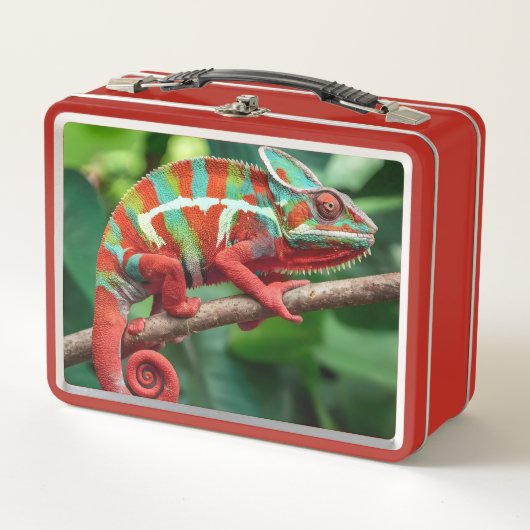 Chameleon Metall Brotdose (Vorderseite)