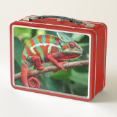 Chameleon Metall Brotdose (Rückseite)
