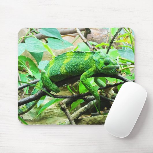 Chameleon Mousepad (Mit Mouse)