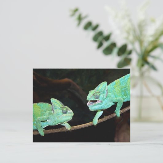 Chameleon Postcard Postkarte (Stehend Vorderseite)