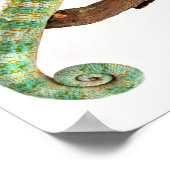 Chameleon Poster (Ecke)