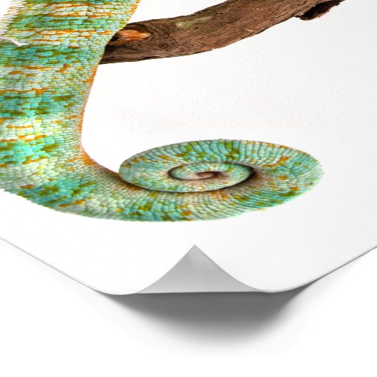 Chameleon Poster (Ecke)