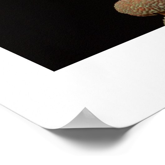 Chameleon Poster (Ecke)