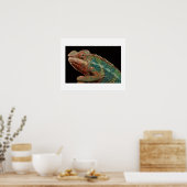 Chameleon Poster (Küche)