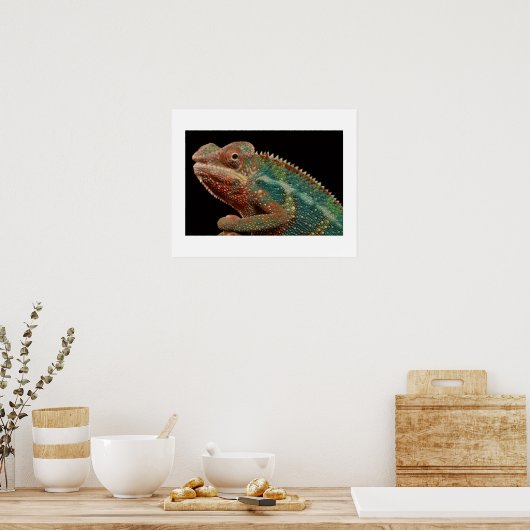 Chameleon Poster (Küche)