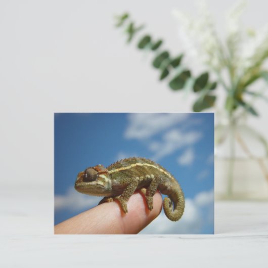 Chameleon Postkarte (Stehend Vorderseite)