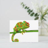 Chameleon Postkarte (Stehend Vorderseite)