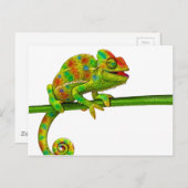 Chameleon Postkarte (Vorne/Hinten)