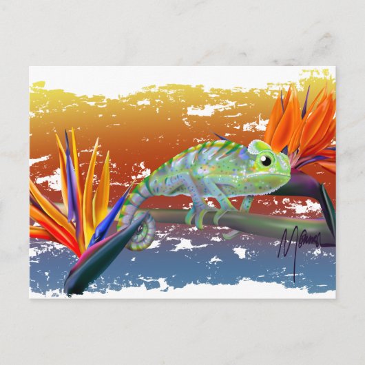 Chameleon  postkarte (Vorderseite)