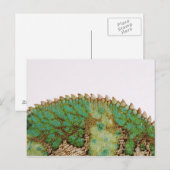 Chameleon Postkarte (Vorne/Hinten)