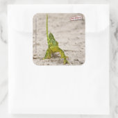 Chameleon Quadratischer Aufkleber (Tasche)