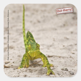 Chameleon Quadratischer Aufkleber