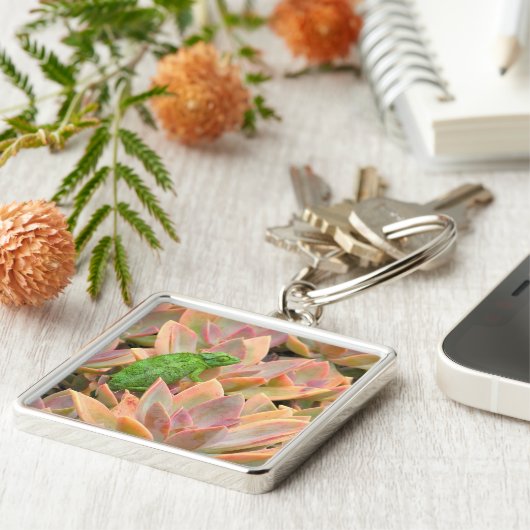 "CHAMELEON RESPEKTIERT ÜBER DIE ERFOLGREICHE PFLAN SCHLÜSSELANHÄNGER (Seite)