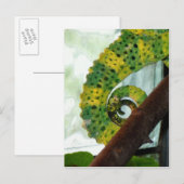 Chameleon Schwanz Postkarte (Vorne/Hinten)