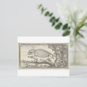 Chameleon Skeleton Illustration Postkarte (Stehend Vorderseite)