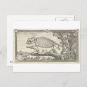 Chameleon Skeleton Illustration Postkarte (Vorne/Hinten)