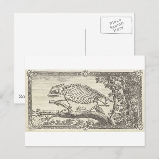 Chameleon Skeleton Illustration Postkarte (Vorne/Hinten)