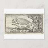 Chameleon Skeleton Illustration Postkarte (Vorderseite)