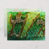 Chameleon Skin Postkarte (Vorne/Hinten)