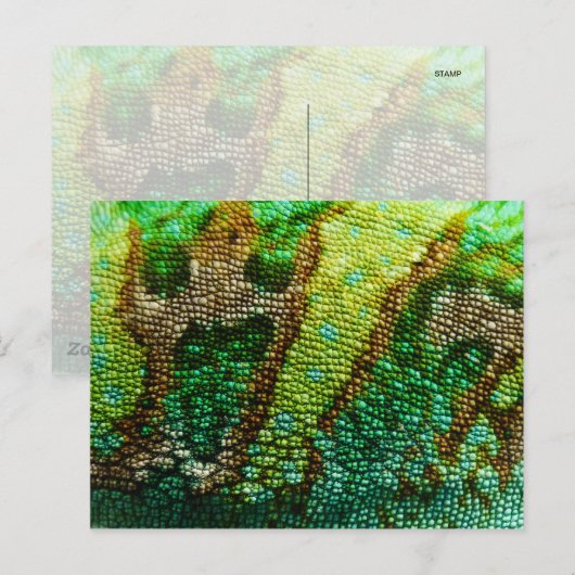 Chameleon Skin Postkarte (Vorne/Hinten)