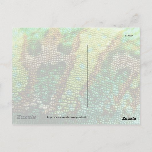 Chameleon Skin Postkarte (Rückseite)
