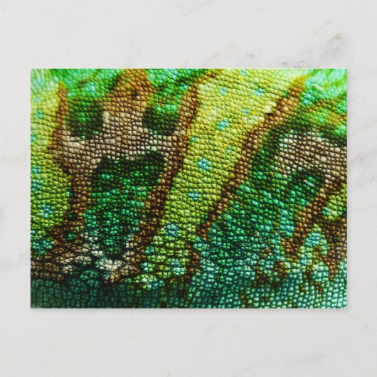 Chameleon Skin Postkarte (Vorderseite)
