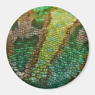 Chameleon Skin Texture Template Magnet