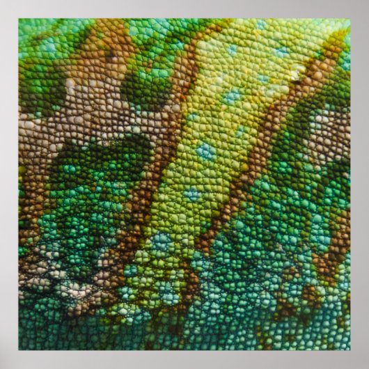 Chameleon Skin Texture Template Poster (Vorne)