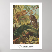 Chameleon Vintag Print Poster (Vorne)