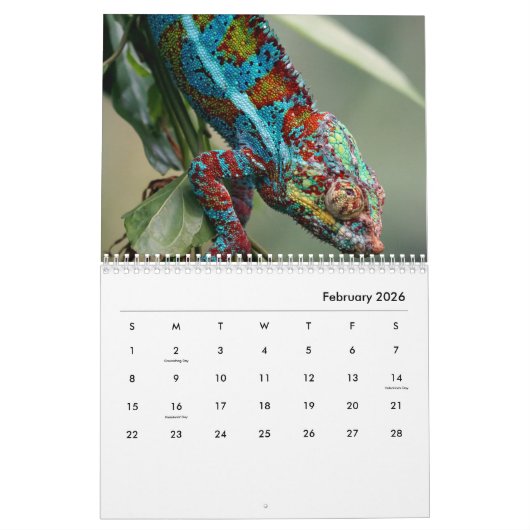 Chameleon Wall Calendar Kalender (Feb 2026)
