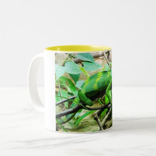 Chameleon Zweifarbige Tasse (Vorderseite Links)