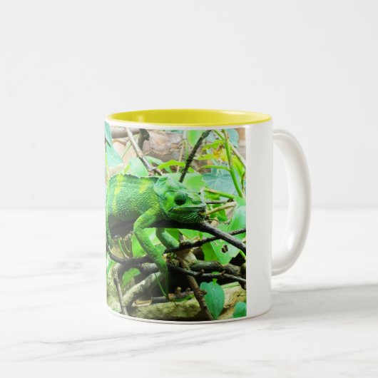 Chameleon Zweifarbige Tasse (VorderseiteRechts)