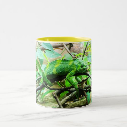 Chameleon Zweifarbige Tasse (Mittel)