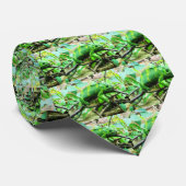 Chameleons Krawatte (Gerollt)