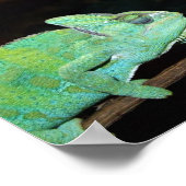 Chameleons Poster (Ecke)