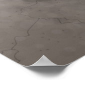 Chameleozoid Poster (Ecke)