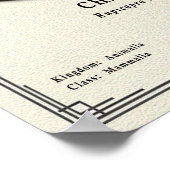 Chamois Zoology Series Poster (Ecke)