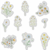 Chamomile-Blume Aufkleber (Vorderseite)