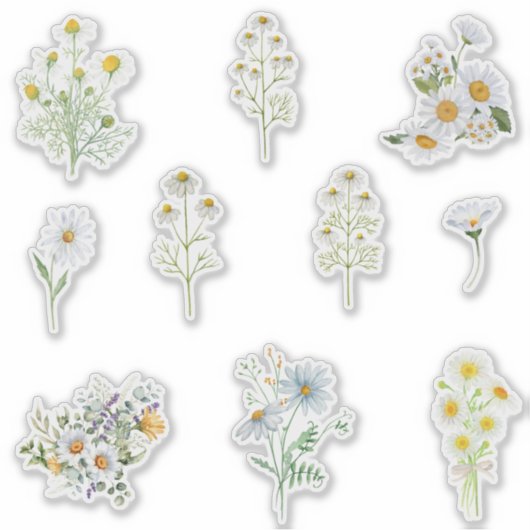 Chamomile-Blume Aufkleber (Vorderseite)
