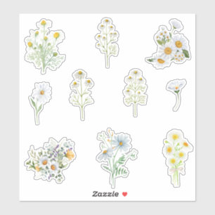 Chamomile-Blume Aufkleber